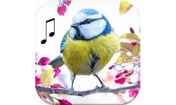 Top Sonneries Oiseaux for Android - Download the APK from habererciyes